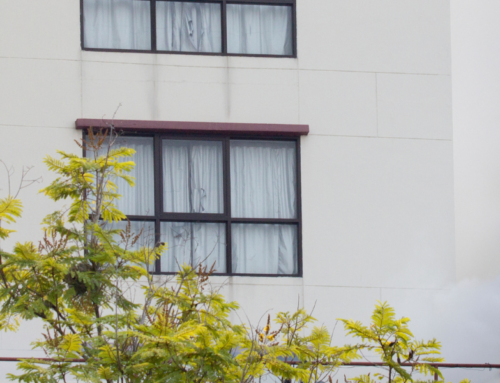 Risk Mitigation: How Professional Property Management Reduces Liability for Apartment Owners